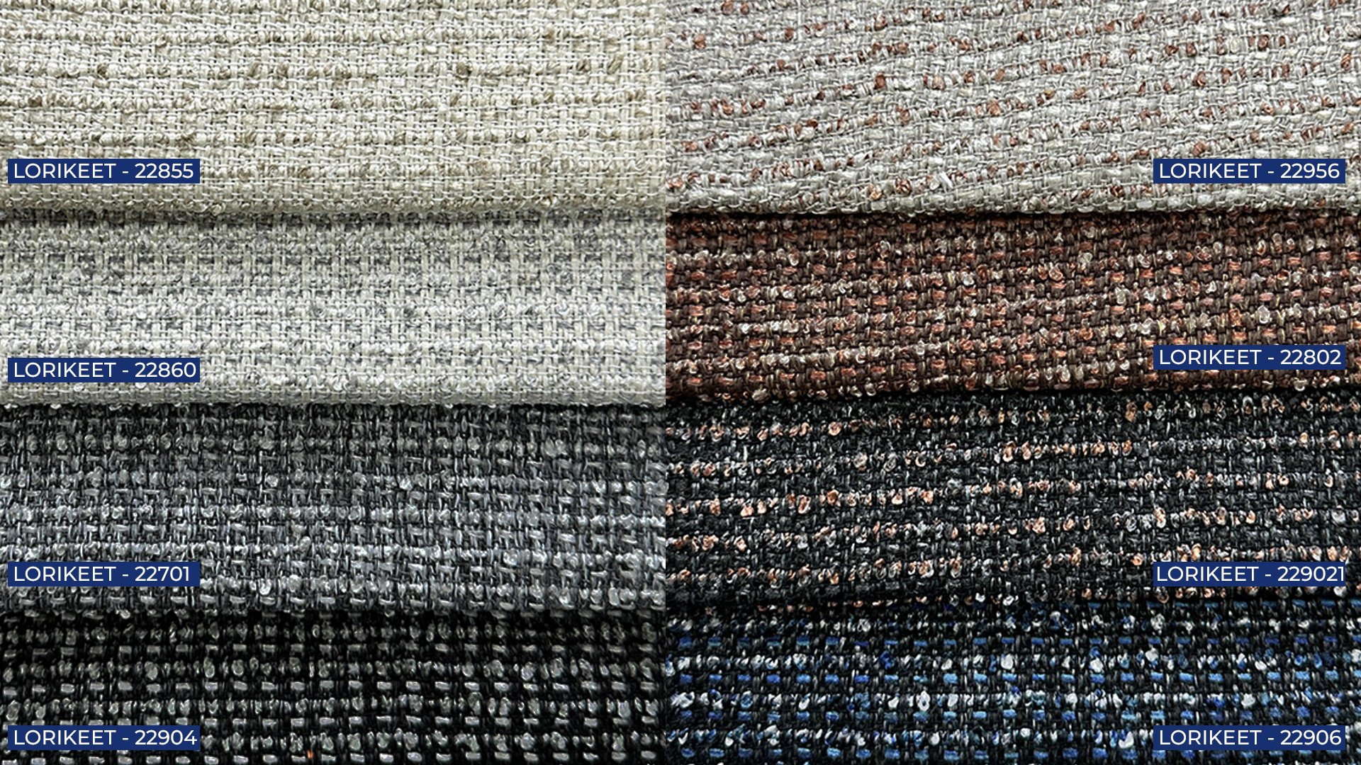 LORİKEET 14021/22855 (KREM)